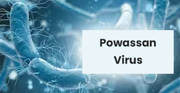 Powassan Virus: After Corona, This Virus Spread, 1 Death In America Due To Powassan Virus, Know Its Symptoms And Prevention From Experts Powassan Virus: After Corona, This Virus Spread, 1 Death In America Due To Powassan Virus, Know Its Symptoms And Prevention From Experts